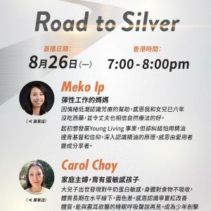 Road to Silver - Meko Ip